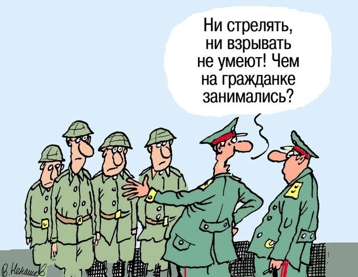 Как я служил на Северном флоте. Глава 1. ВМФ, Северный флот, армия, служба в армии, служба, служба, юмор, военные рассказы, длиннопост