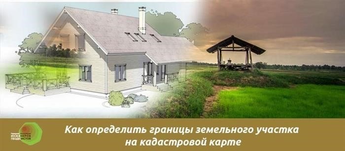 Коллаж красивого летнего неба в винограднике в поле