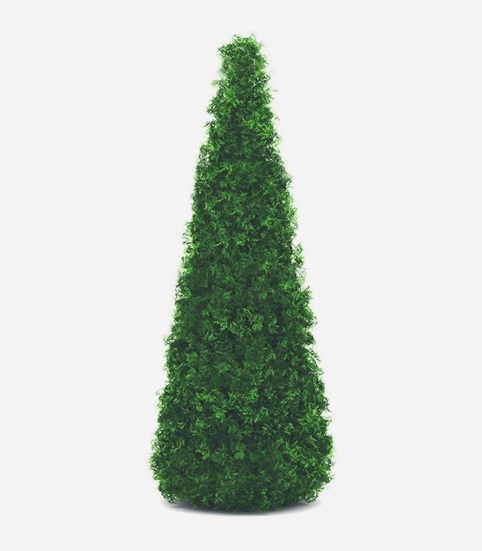 Thuja Smaragd - Высота 1-1. 25 м