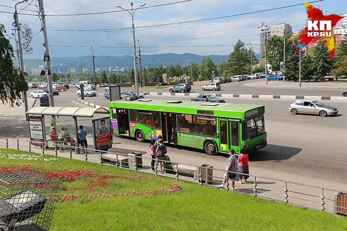 Что стоит за желанием не платить за билет?