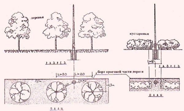 Посадка деревьев вблизи электрических линий