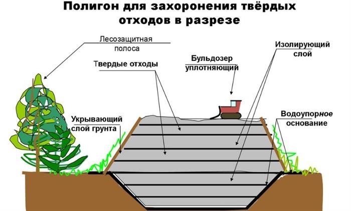 Иллюстрация предоставлена Валерием Серба.